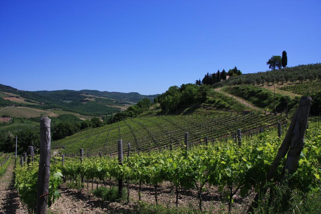 Il Borghetto Tuscan Holidays San Gimignano Exterior photo